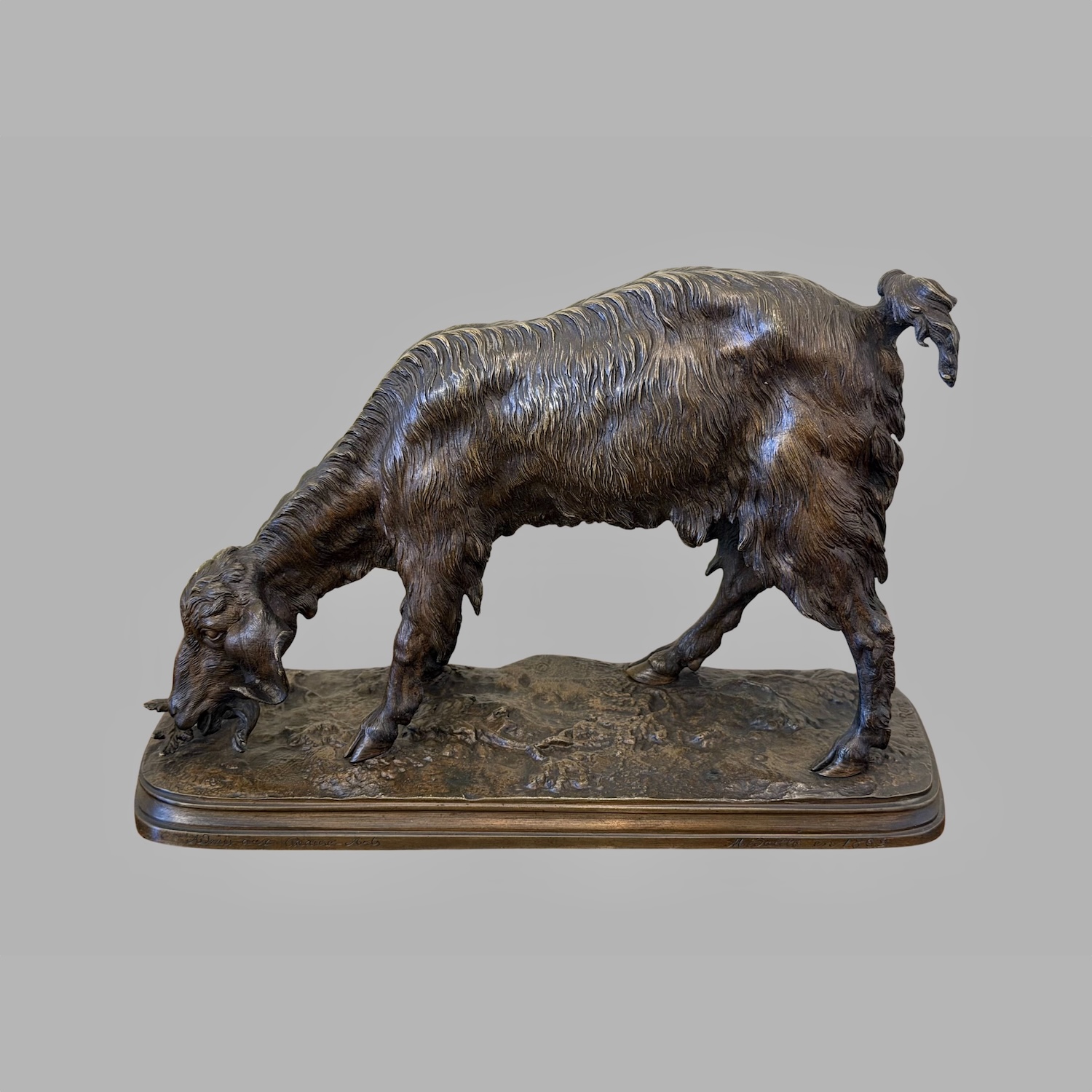 french-bronze-sculpture-grazing-goat-ferdinand-pautrot-a926-2