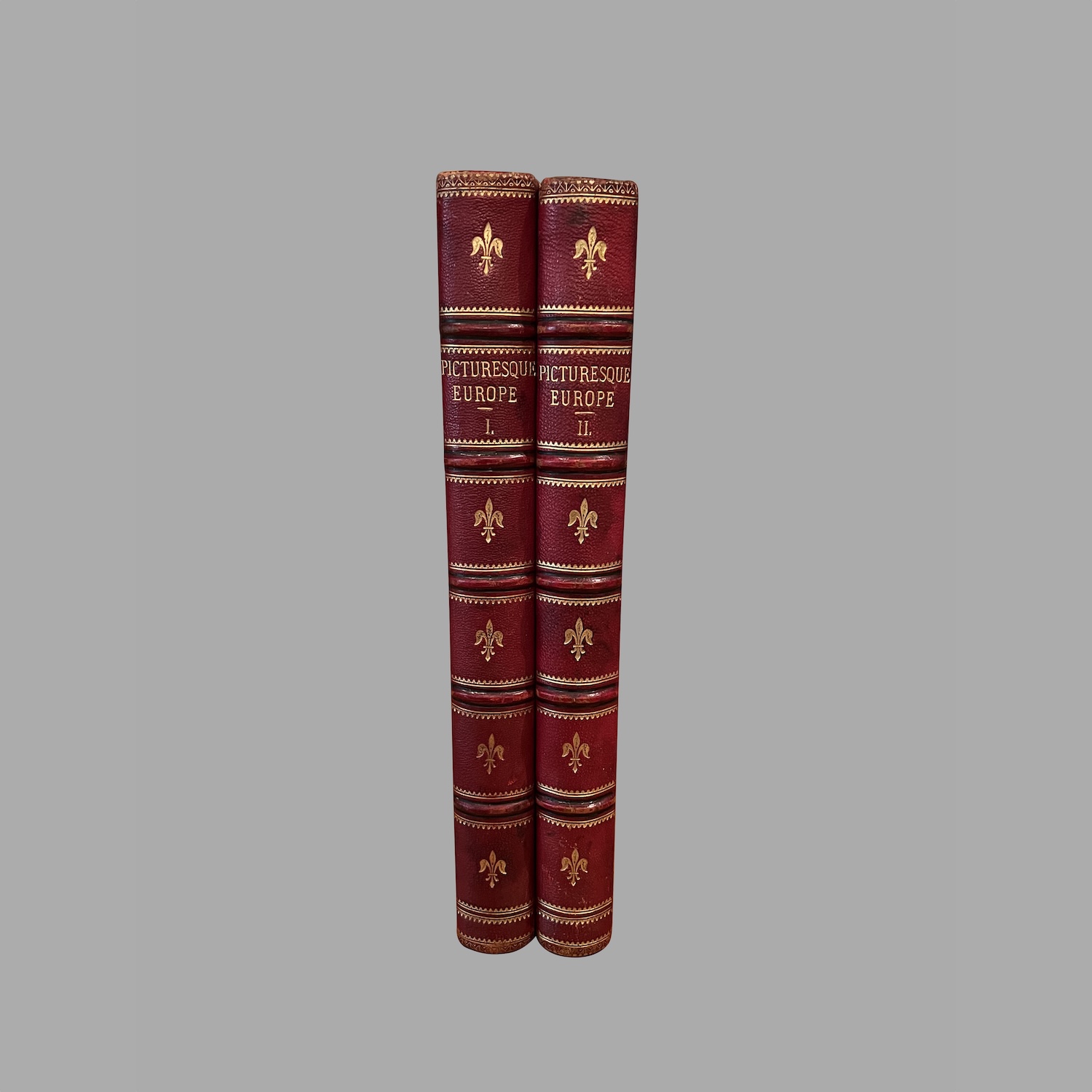 picturesque-europe-with-illustrations-on-steel-wood-b325-1